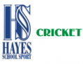Hayes School Cricket